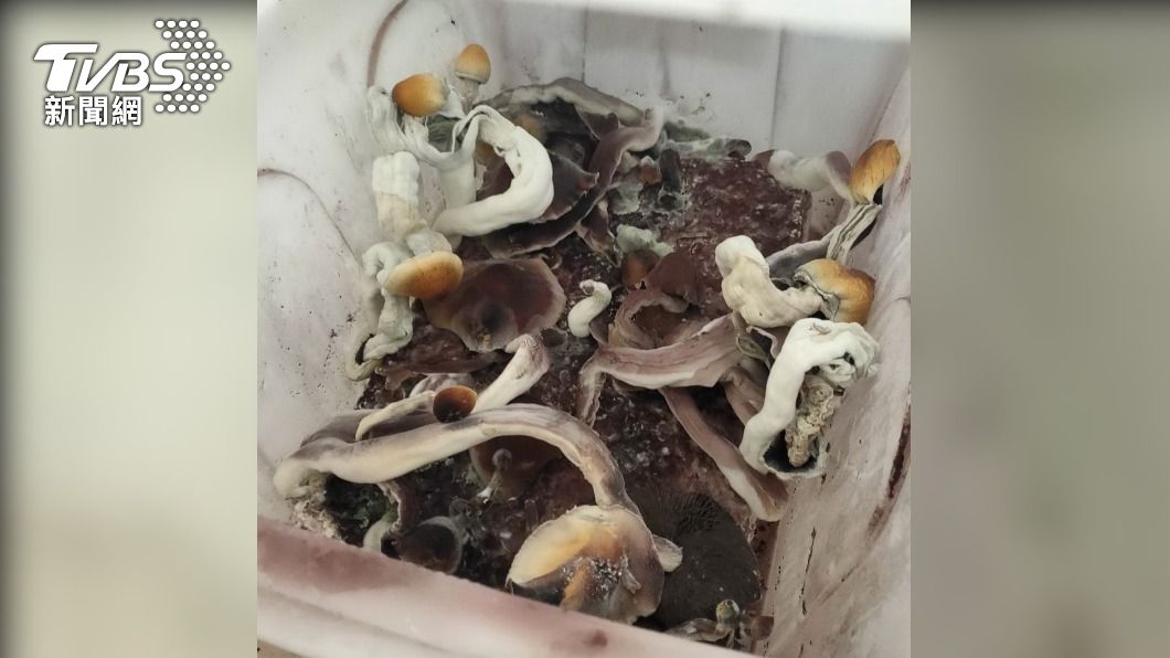 (圖/中央社)