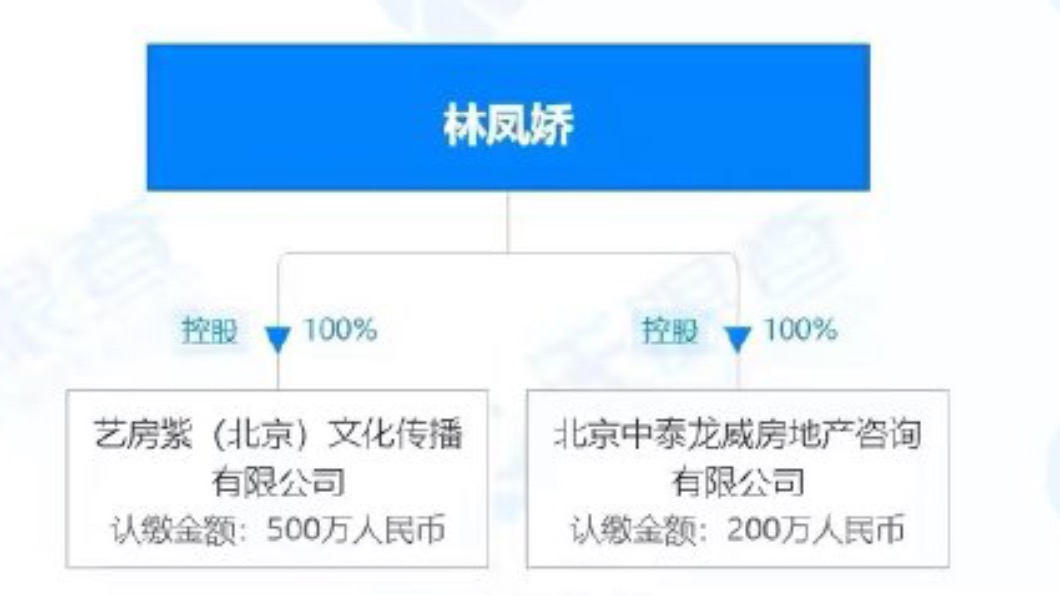 成龍退出林鳳嬌名下兩間公司。(圖/翻攝自微博)
