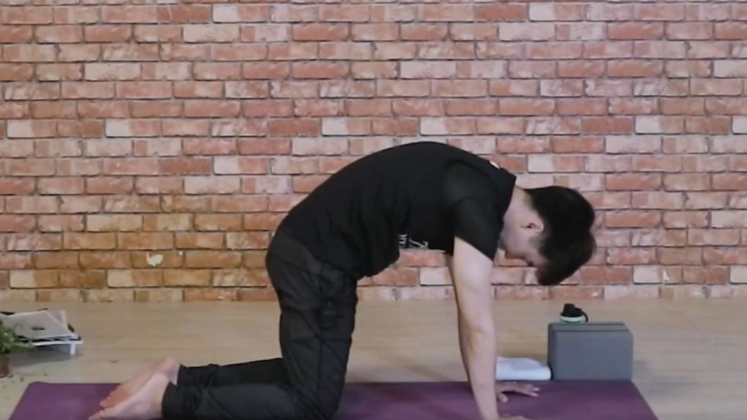貓牛式瑜珈。(圖/翻攝自True Yoga Fitness 臉書)