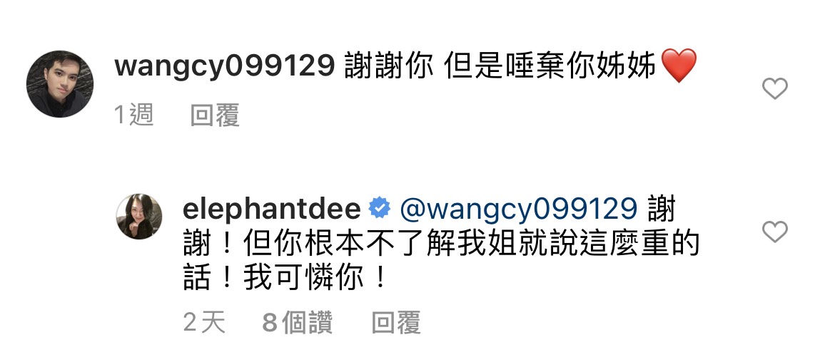 網友痛批大S。(圖/翻攝自小S IG)