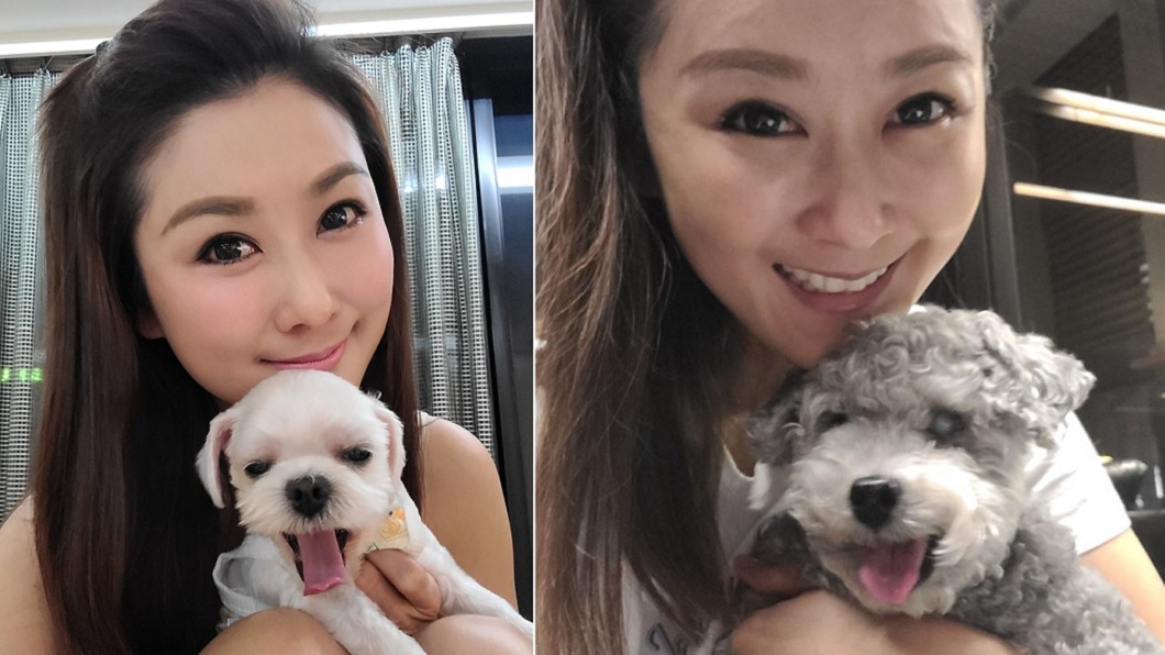 陳珮騏常在臉書分享與愛犬的照片。(圖/翻攝自陳珮騏打氣團臉書)