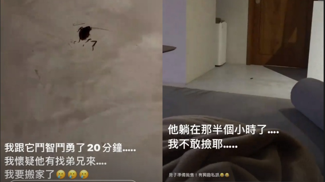 柯震東曬出蟑螂屍體照。（圖／翻攝自柯震東IG）