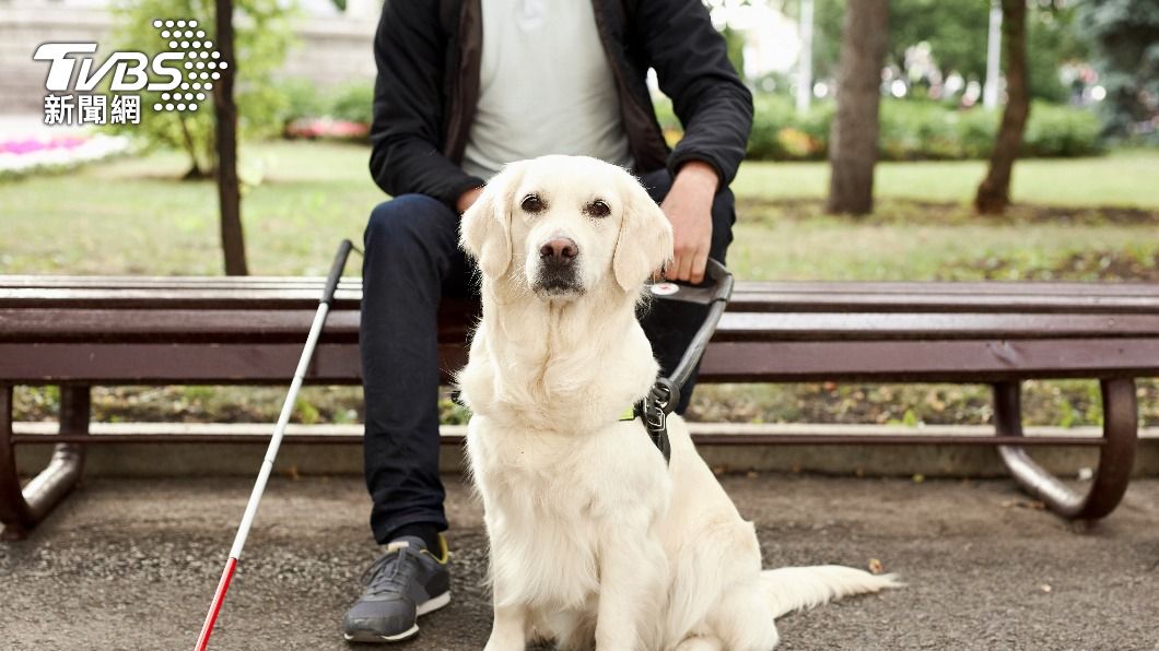 視障者帶導盲犬搭公車!傳被逼出示證明 司機:你看起來不像