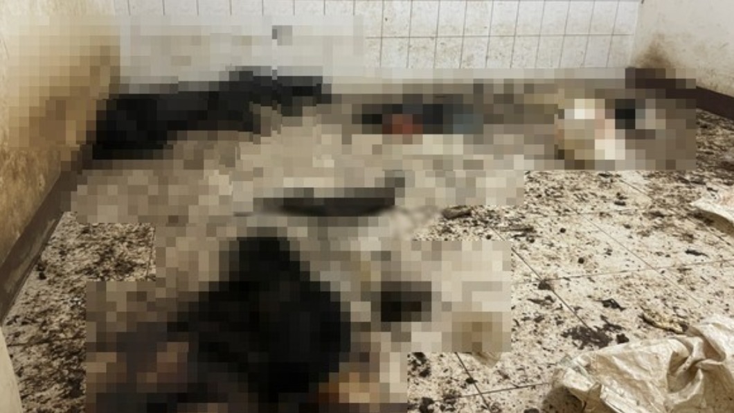 民宅飄屍臭鄰居憂有人死了 破門驚見10隻狗疑餓死