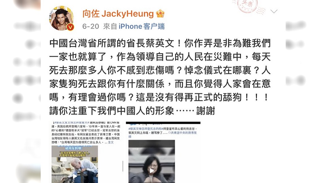 向佐發文怒斥蔡英文。（圖／翻攝自向佐微博）