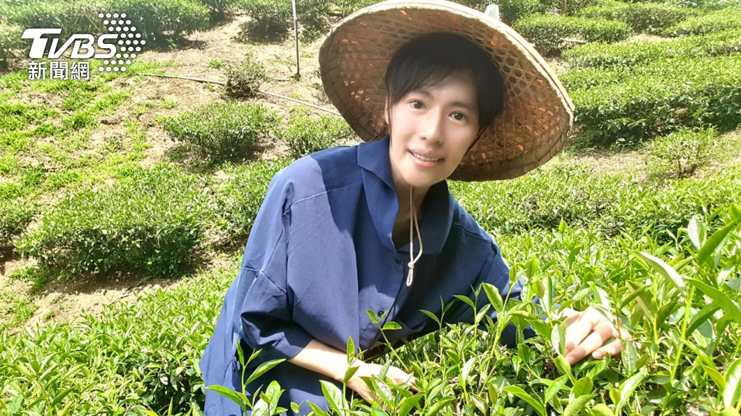 林語菲回到家鄉化身小農,為自家採收茶葉及咖啡。(圖/菲常動人音樂提供)