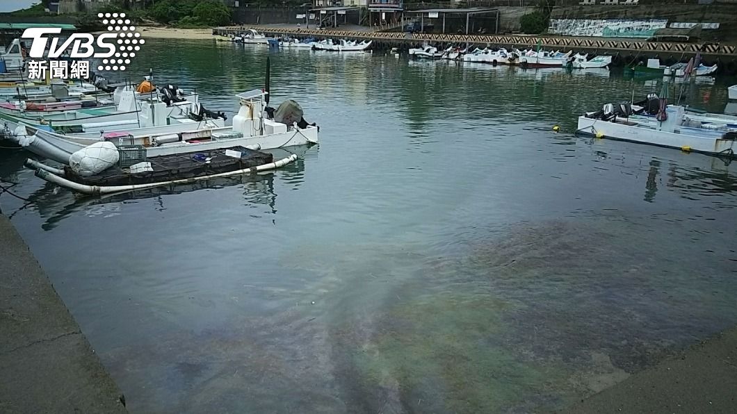 中油大林輸油管破裂油污小琉球 海龜不敢探頭呼吸