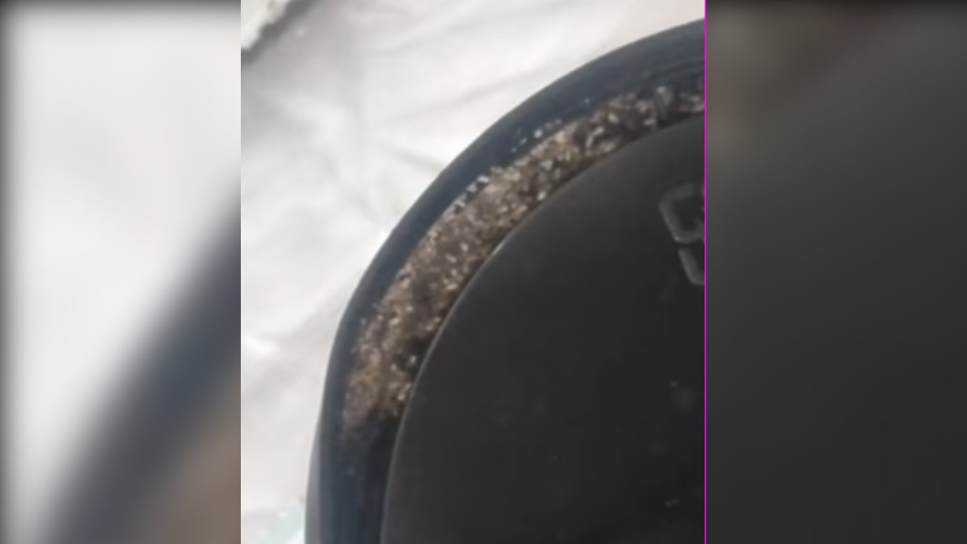 原PO貼出移工物品，上頭白色部分全是密密麻麻的小蟲。（圖／翻攝自「爆怨2公社」）