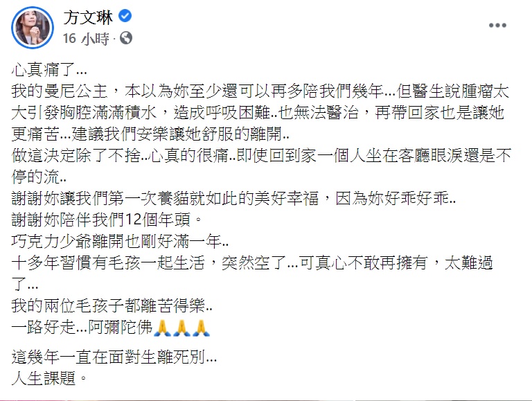 方文琳心碎痛喊不敢再擁有。(圖/翻攝自方文琳臉書)