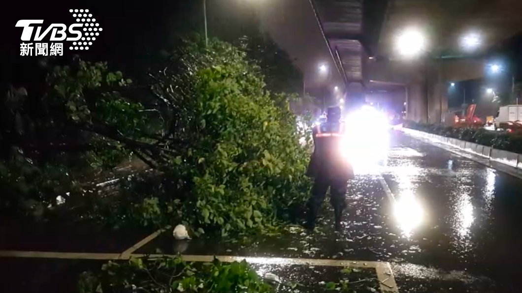 雨彈夜襲！高雄多處積水、女子監獄前路樹倒塌