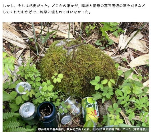 墓石上爬滿青苔。(圖/翻攝自マネー現代)
