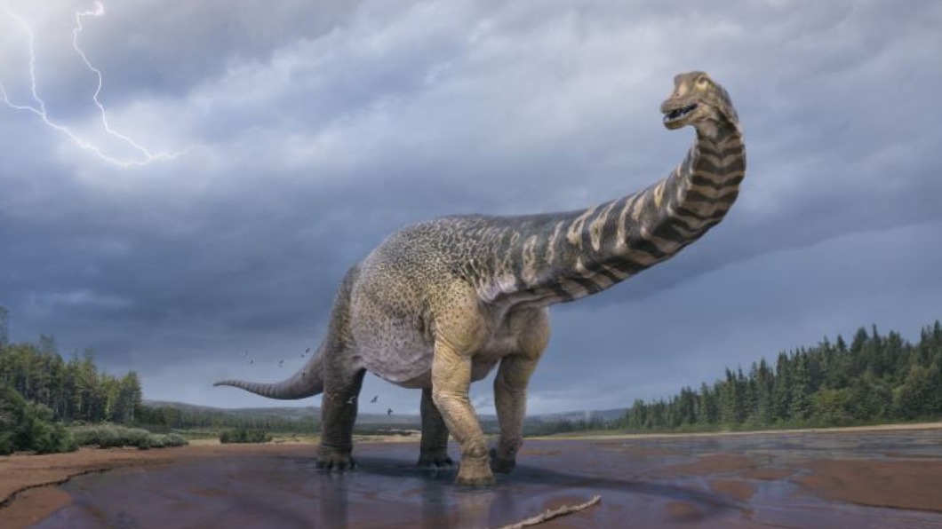 示意圖／翻攝自Eromanga Natural History Museum臉書