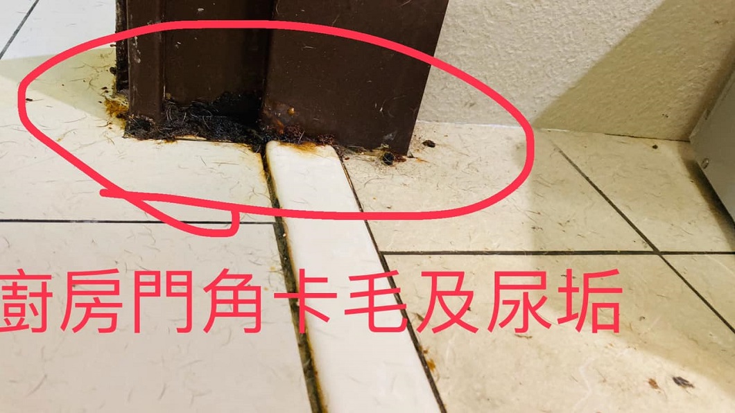 地上都是狗毛和尿垢。（圖／翻攝自爆廢公社公開版）