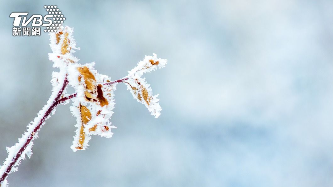南極強烈冷氣團襲擊巴西 各地嚴寒影響降雪結霜