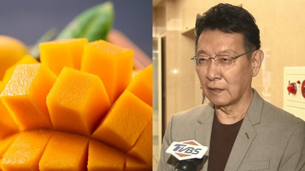 芒果無辜遭退訂 趙少康:政府防疫不利是關鍵