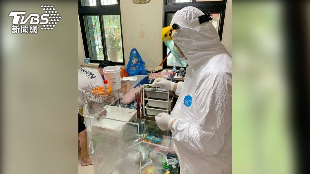 新北到宅快篩阻斷家戶感染　抓出26人PCR陽性