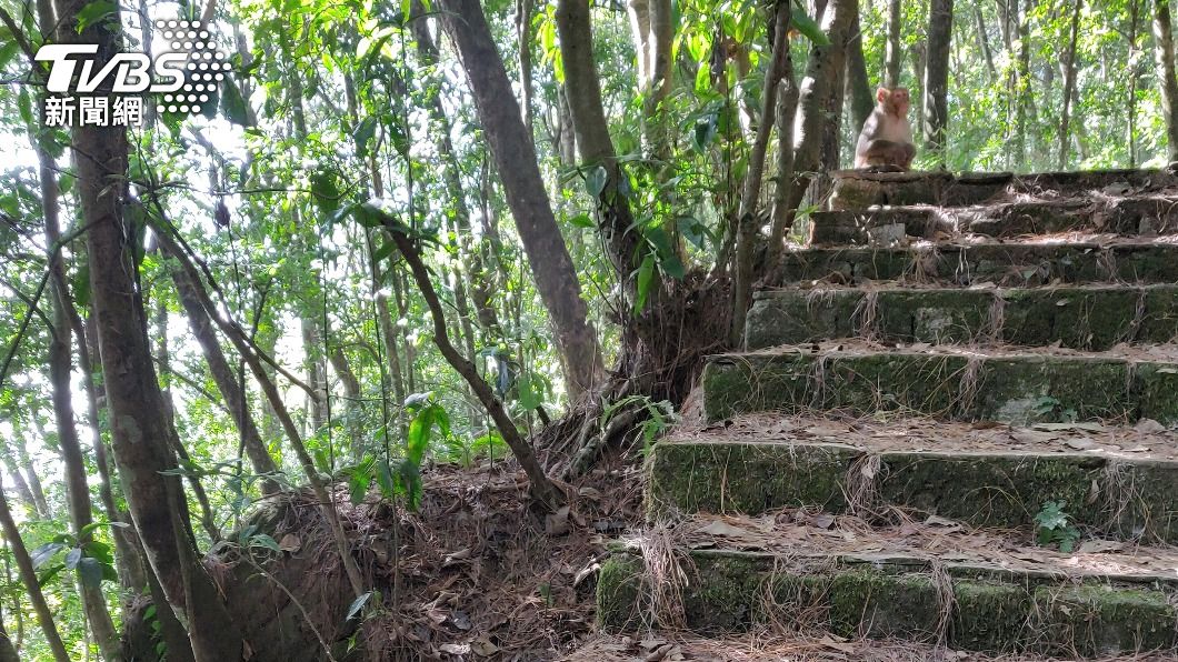 台中男子酒後闖登山步道 違反防疫規定最高恐罰30萬