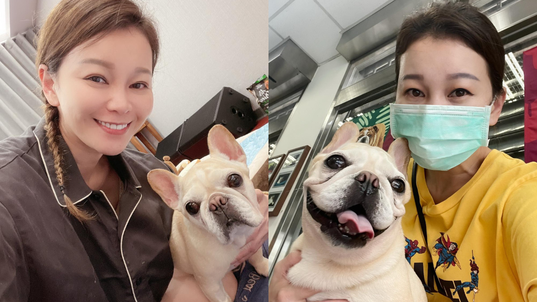 謝宜君狗女兒「子宮蓄膿」被帶走開刀　從台中哭回鹿港