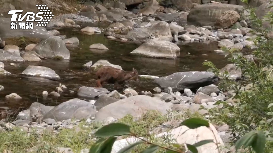 圖／太管處提供