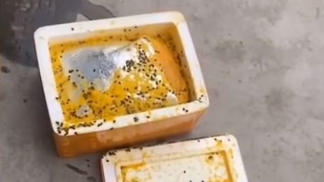 圖/翻攝自时间视频微博