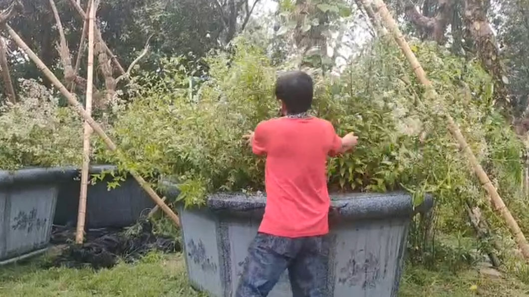 業者整理草叢。(圖/林明期提供)