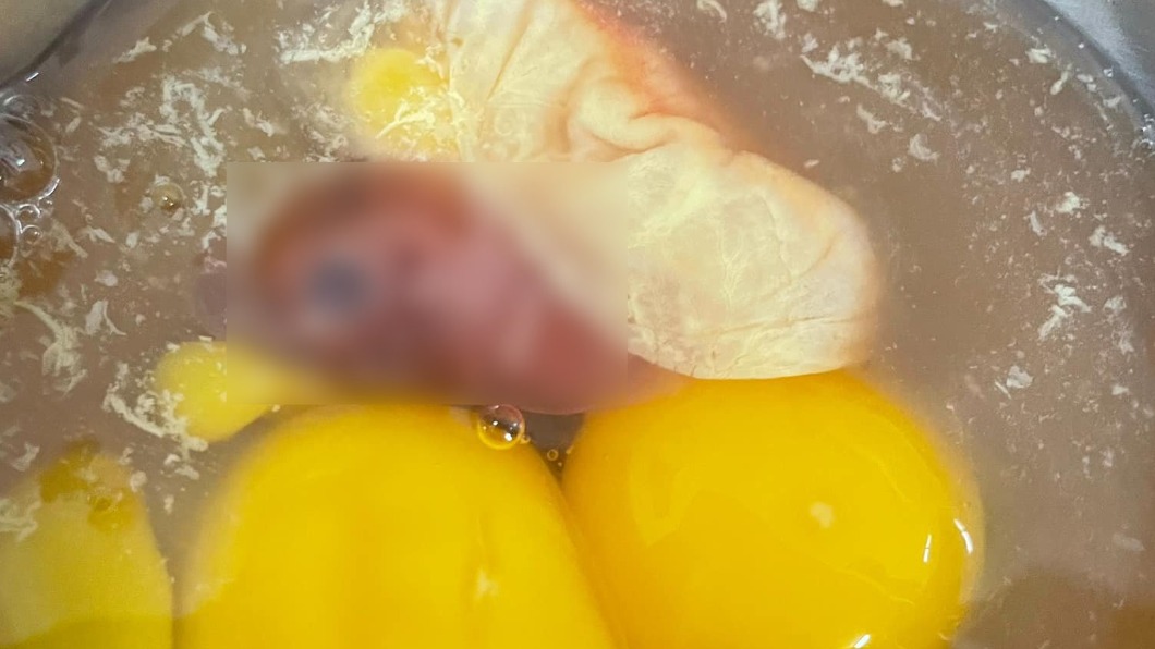 打蛋噴出「粉嫩胚胎凍」　完整雛形嚇壞網：會有陰影