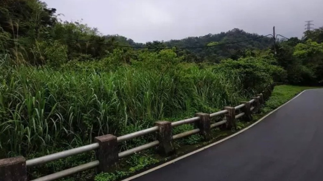 欠稅4.23億落跑出境 前東帝士集團總裁土地遭拍賣