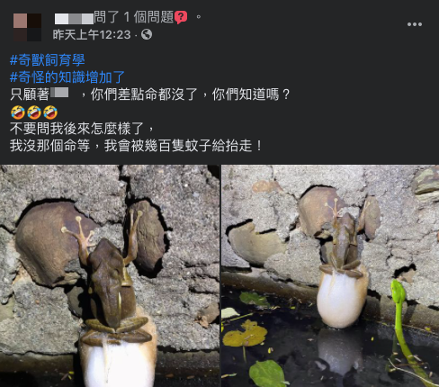（圖／翻攝自「爆廢公社公開版」）