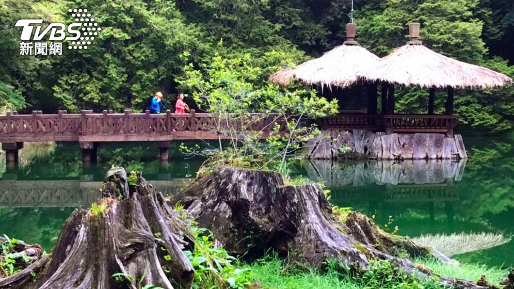 阿里山國家森林遊樂區微解封,首日入園人數不多。(圖/中央社)