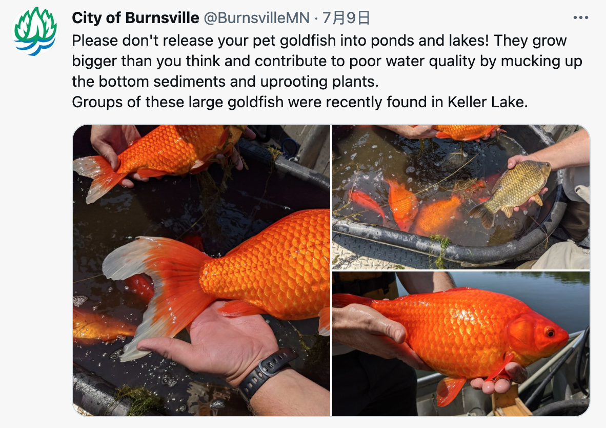 勃恩斯維爾市在推特發文拜託民眾「不要再放了！」。（圖／翻攝自City of Burnsville推特@BurnsvilleMN）