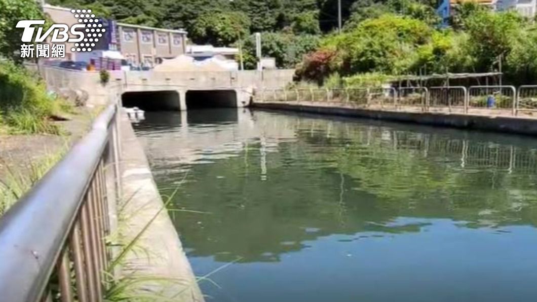 該處屬淡海水交界。（圖／TVBS）