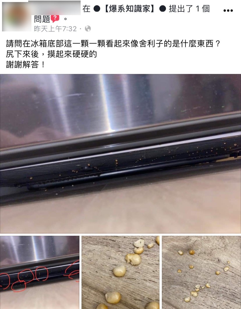 貼文引發網友關注。(圖/翻攝自爆系知識家)