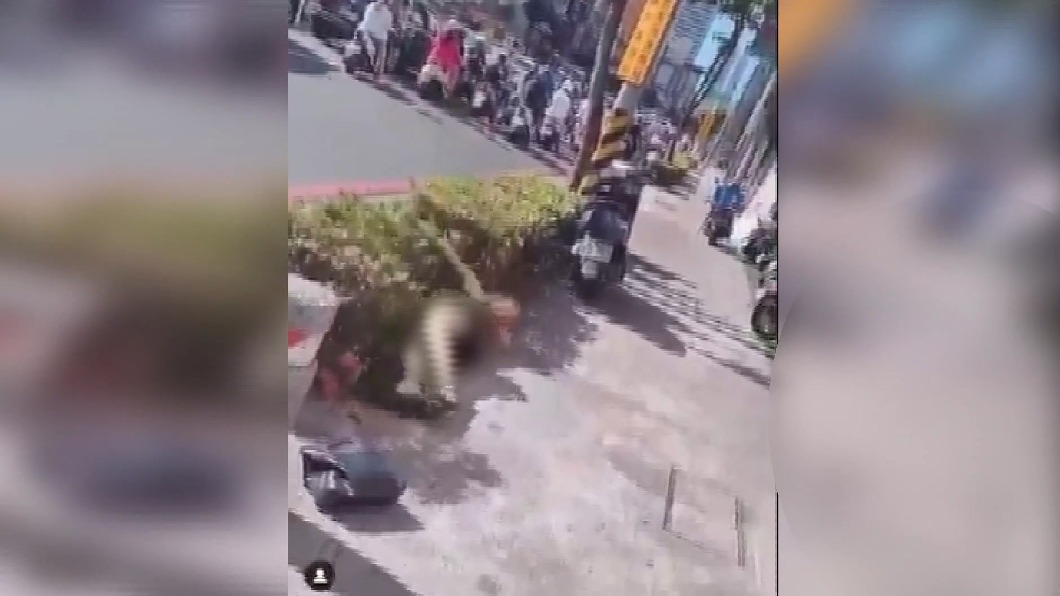 圖／影片翻攝FB