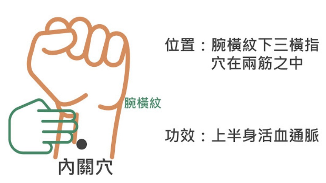 內關穴位於手的內側面，握拳後會看到兩條筋，在兩條筋的中間。（圖／翻攝自謝旭東醫師部落格）