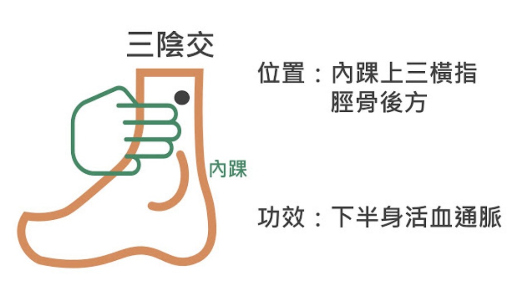 三陰交位於脾經上，是脾、肝、腎三條經絡交會的地方。（圖／翻攝自謝旭東醫師部落格）