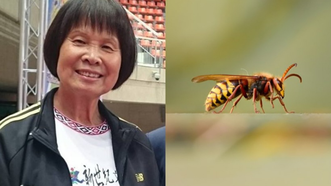 紀政散步遭虎頭蜂叮傷!醫籲自保要穿「這顏色」