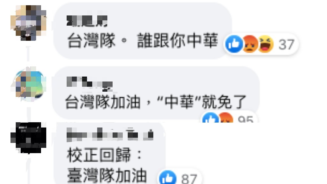 部分網友不滿瑞莎使用「中華隊」稱呼。(圖/翻攝自瑞莎臉書)