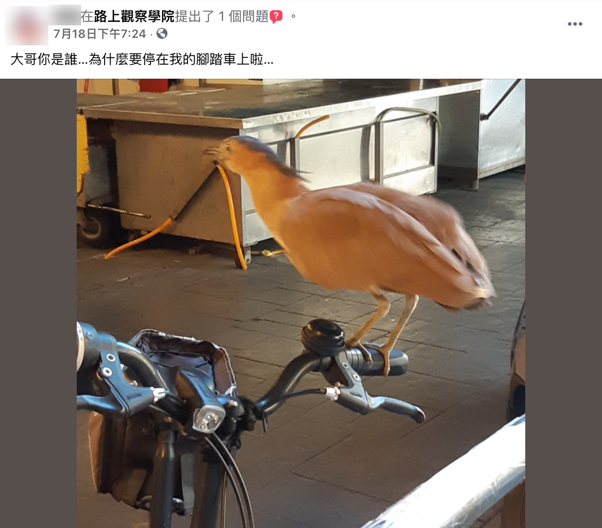 貼文引發網友熱議。(圖/翻攝自路上觀察學院)
