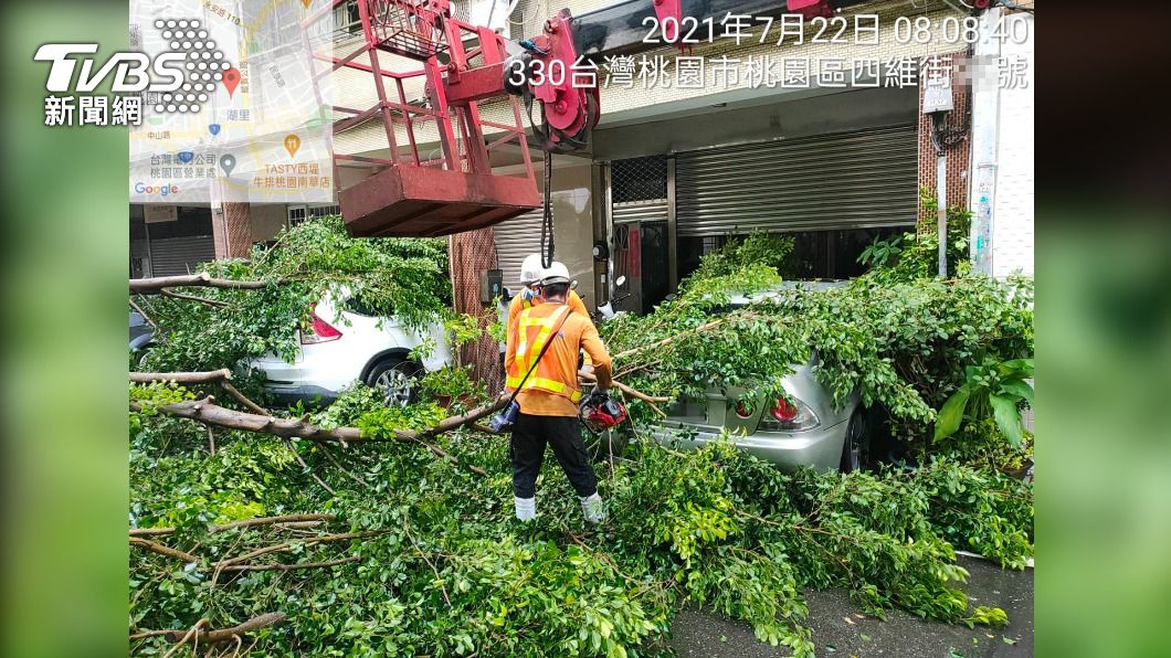 大樹倒塌壓損車輛。(圖/中央社)