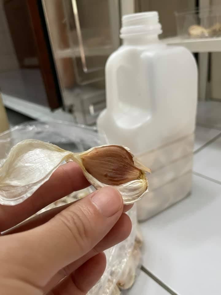 女網友分享按照網路上的方法保存蒜頭,結果蒜頭皆變黑。(圖/翻攝自廚藝公社臉書)