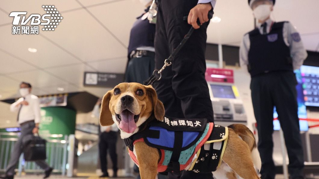 東京主要車站出動嗅探犬尋找可疑物品。（圖／達志影像美聯社）