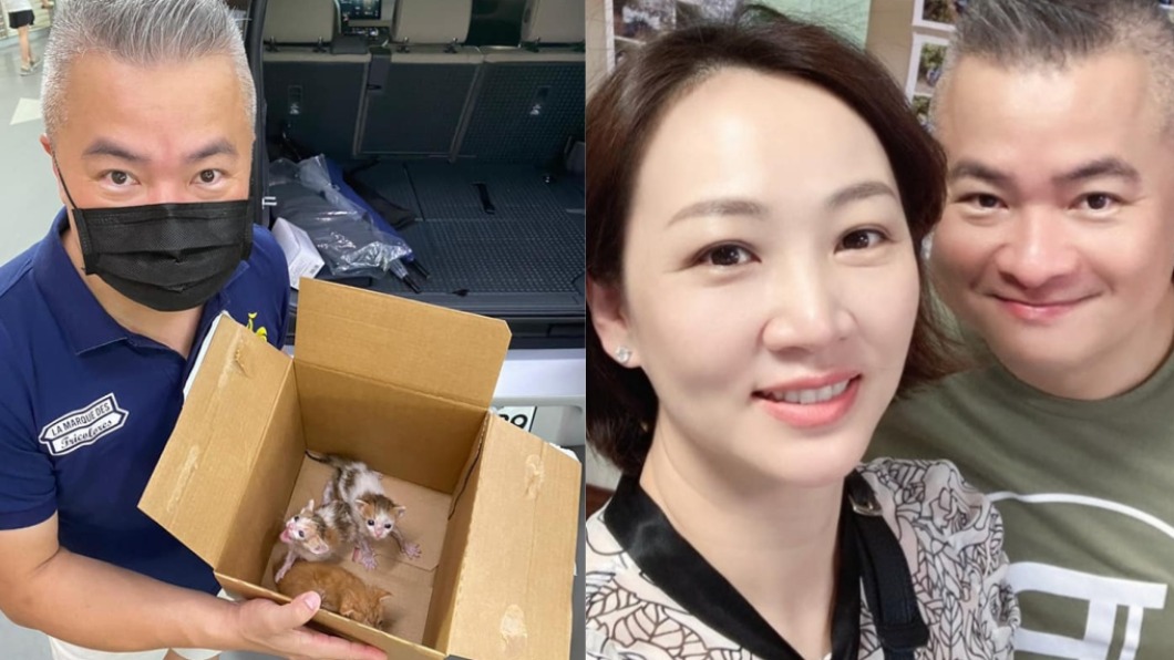 郁方尪車底撿到幼貓　身價竟值「2千萬日幣」超稀有！