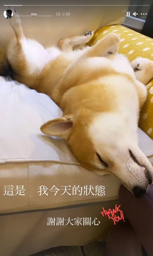 謝佳見感謝外界關心。 (圖/翻攝自謝佳見IG)