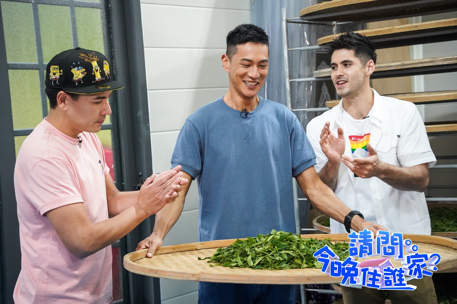 3人為做出好茶拚盡全力。（圖／東森提供）