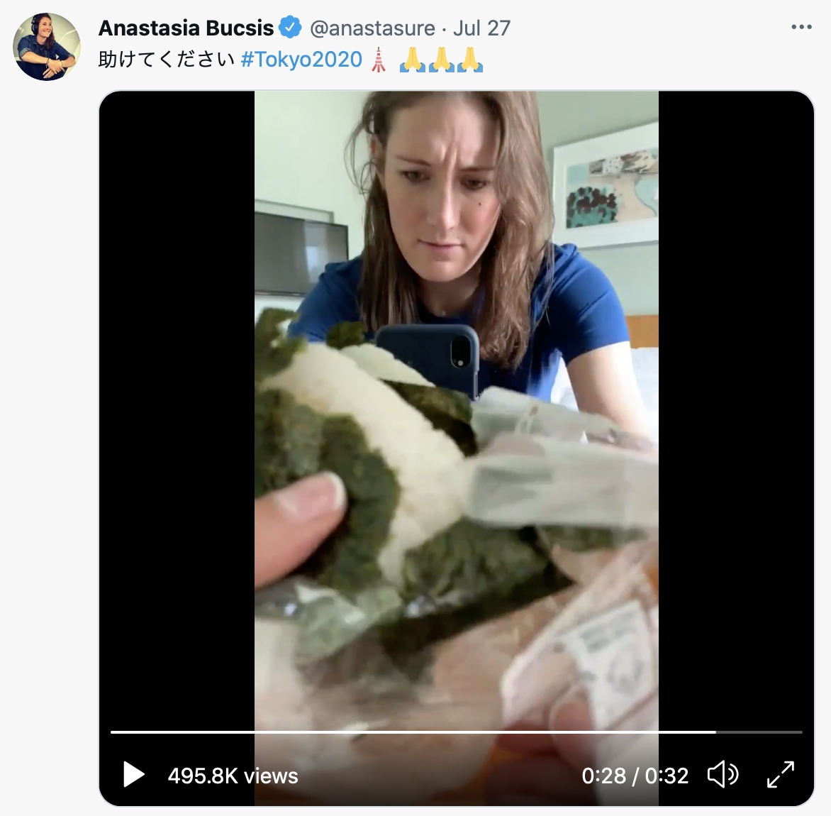 海苔最後被弄得破破爛爛。(圖/翻攝自Anastasia Bucsis推特)
