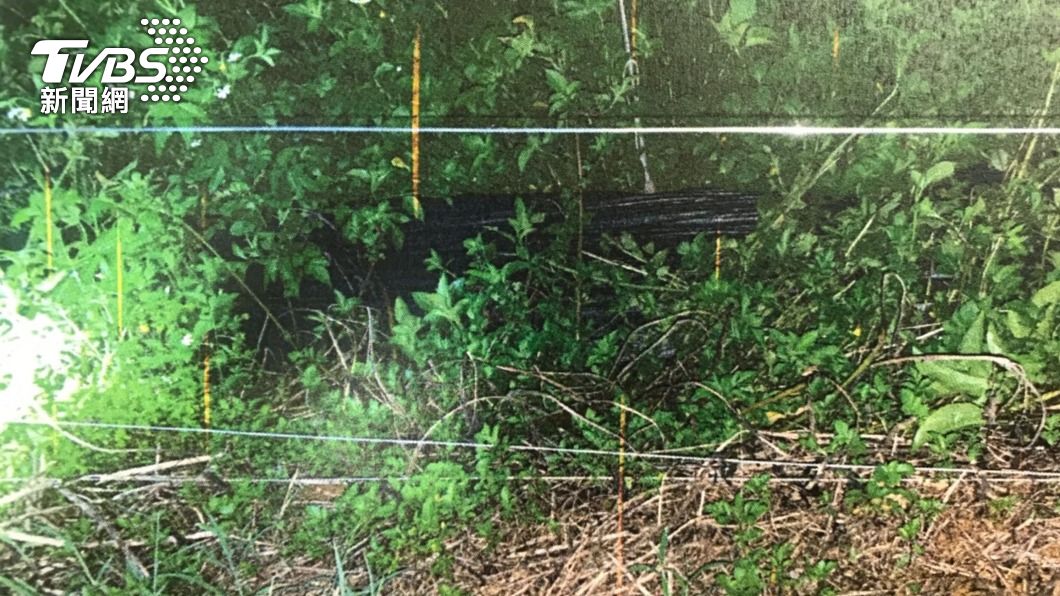 南投移工誤觸果園高壓電網倒地 送醫後仍不治