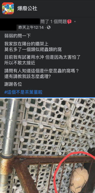 (圖/翻攝自「爆廢公社」)