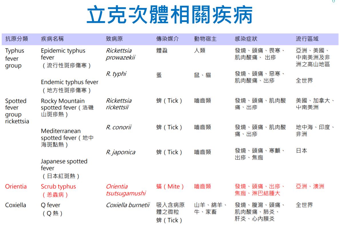 立克次體相關疾病。(圖/翻攝自衛福部疾管署官網)