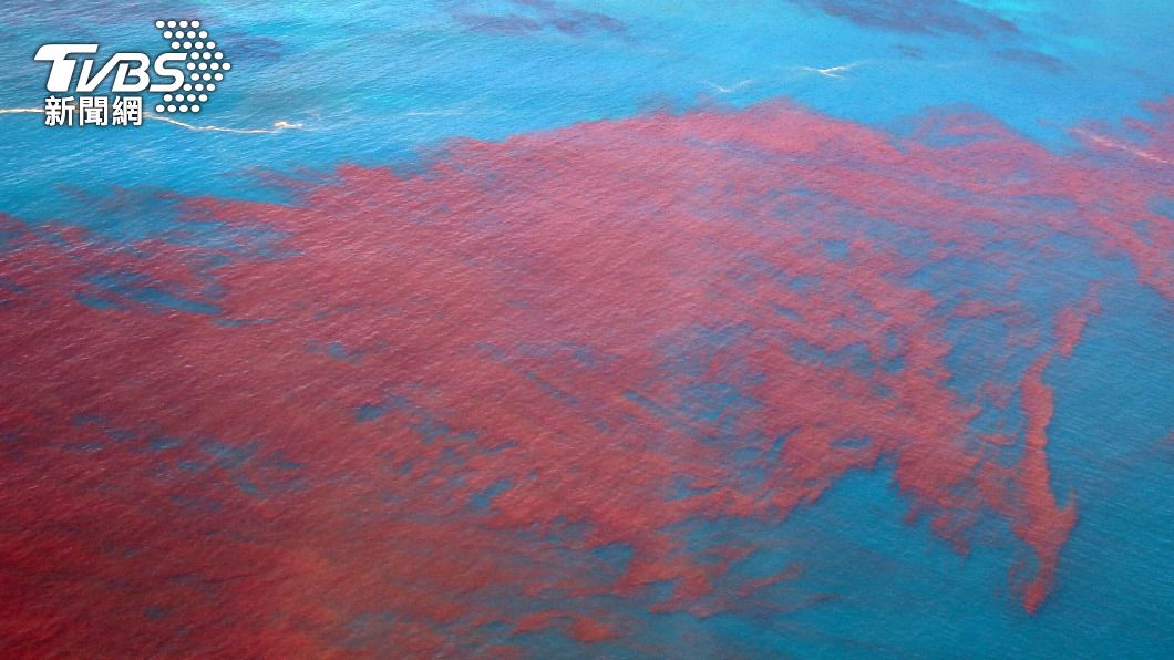 疑污廢水流入水圳 南投鳥嘴潭附近魚群暴斃