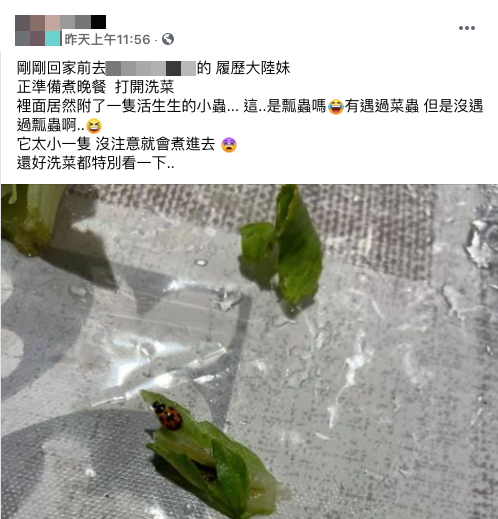 (圖/翻攝自「我愛全聯-好物老實説」)
